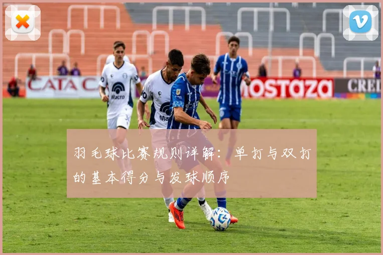 羽毛球比赛规则详解:单打与双打的基本得分与发球顺序