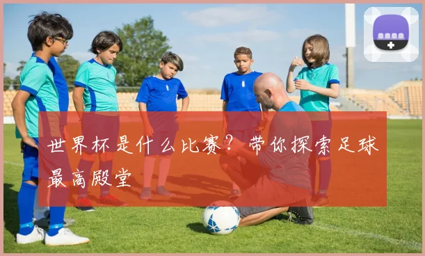世界杯是什么比赛？带你探索足球最高殿堂