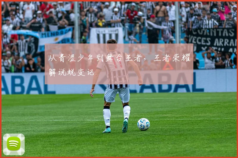 从青涩少年到舞台王者,王者荣耀解说蜕变记